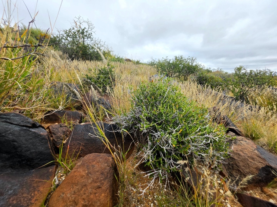 Commercial Property for Sale in Carnarvon Rural Northern Cape